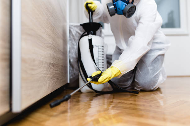 Best Emergency Pest Control  in Montara, CA