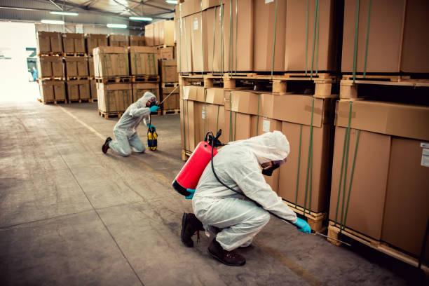 Best Pest Removal Services  in Montara, CA