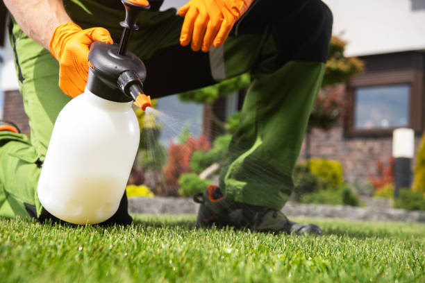 Best Pest Prevention Services  in Montara, CA