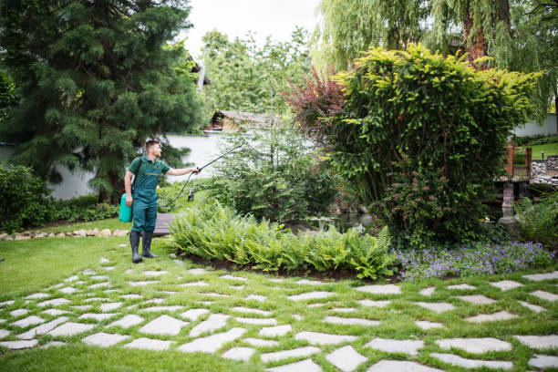 Best Mosquito Control Services  in Montara, CA