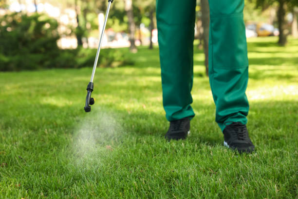 Best Pest Inspection Near Me  in Montara, CA
