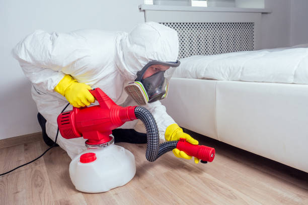 Best Wasp Removal Services  in Montara, CA