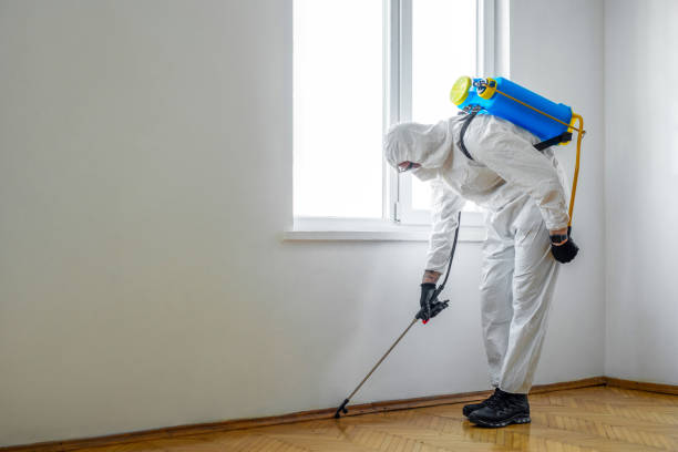 Best Termite Control Services  in Montara, CA