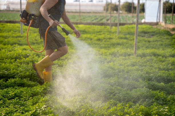 Best Residential Pest Control  in Montara, CA