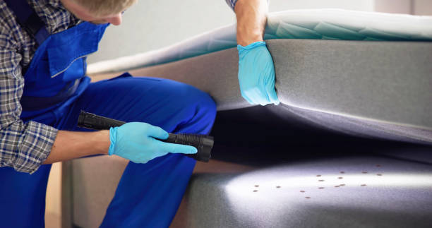 Best Pest Control Near Me in Montara, CA