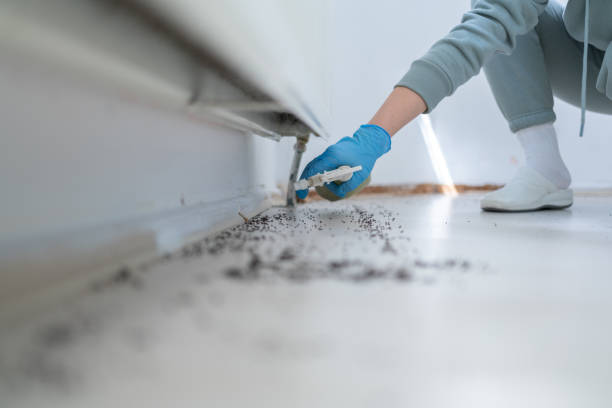 Best Local Pest Control Services  in Montara, CA
